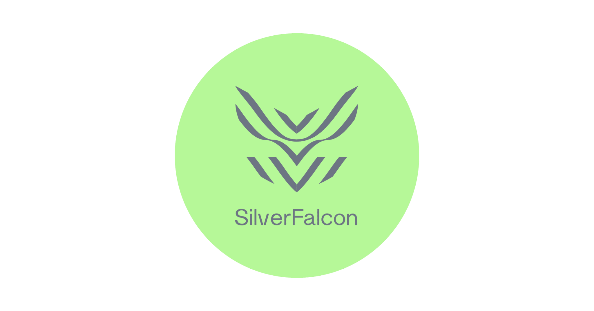 SilverFalcon-nieuw-2.png