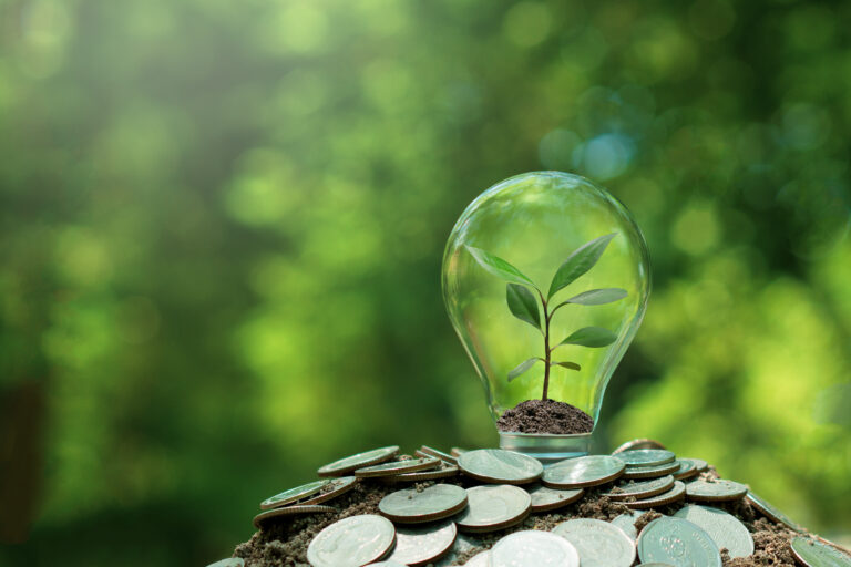 Small tree planted in light bulb on coin with nature background.